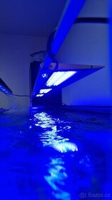 Světlo do mořského akvária MicMol G3