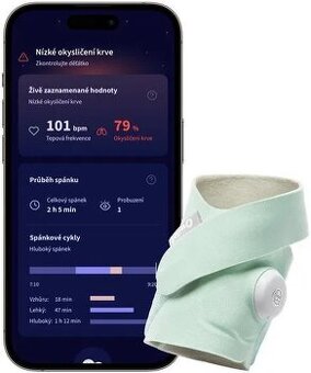 Owlet dream sock