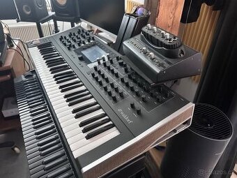 Waldorf Quantum
