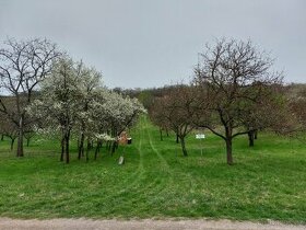 Pozemek s chatou - 1