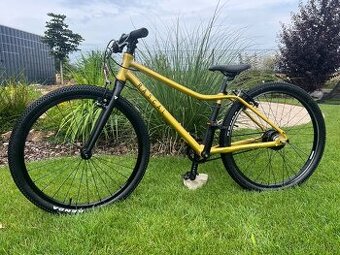 Horské kolo Rascal 24” Sturmer Archer 5s gold zlatá UNI