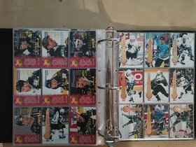 HOKEJOVÉ karty TOP STAV část 2