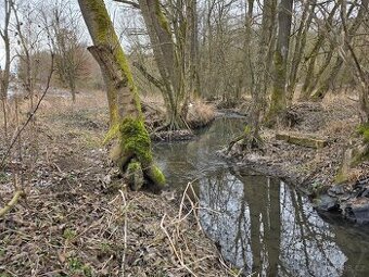 🌿 PRODEJ POZEMKU – DOUBRAVY U ZLÍNA - 1