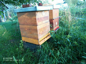 včely, včelstvo včetně úlu