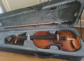 Viola - 1