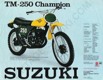Suzuki TM-250