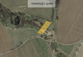 Prodej louky v k.ú. Buřenice