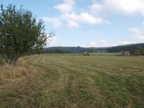 LUKRATIVNÍ pozemky u hranice se SRN - 24km-PRODEJ