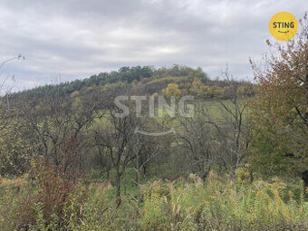 Prodej ovocného sadu 4839m2, 133768