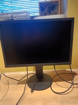 Prodám EIZO CG2420