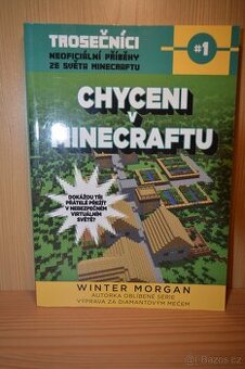 Chyceni v Minecraftu Winter Morgan