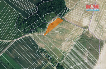 Prodej vinice, 1000 m², Ježov