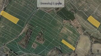Prodej pole v k.ú. Skuteč - 1