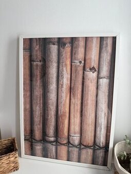 Plakát 50c70cm - 1