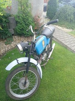 Jawa mustang