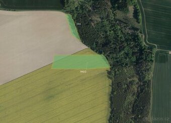 Zemědělská půda, prodej, Pěšice, Řepníky, Ústí nad Orlicí