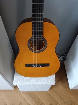 Kytara elektroakustická