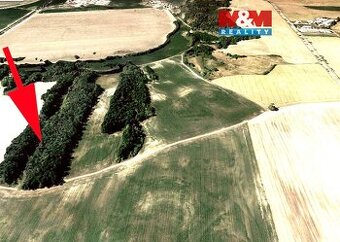 Prodej pole, 5686 m², Čejč