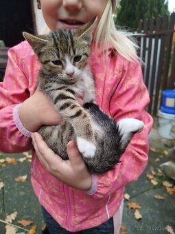 Daruji do dobrých rukou