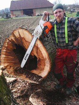 Kácení a ořezy stromů Zlínsko