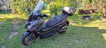 Honda forza 125