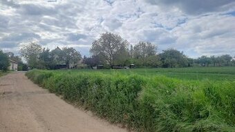 Prodej stavebních pozemků 16628 m² Čistá