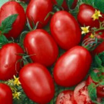 Rajče převislé oválné červené, semínka 20ks