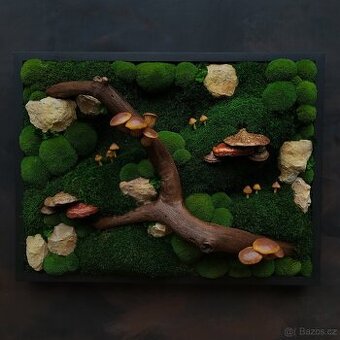 Mechový obraz / obraz ze stabilizovaného mechu