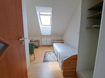 Pokoj v bytě, Černovice pro 1 osobu. Plně vybavený včetně ku - 1