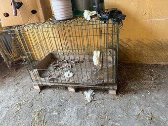 Manipulační přepravní klec