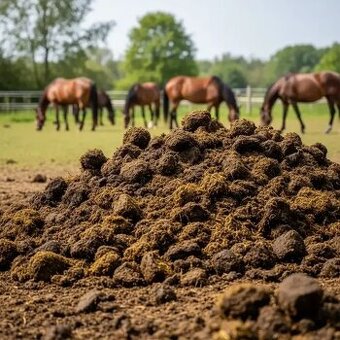 Koňský hnůj