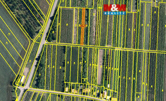 Prodej vinice, 400 m², Moravský Žižkov