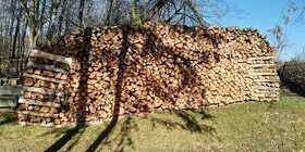 Štípané suché dřevo