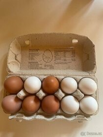 prodam domácí vajíčka,vejce