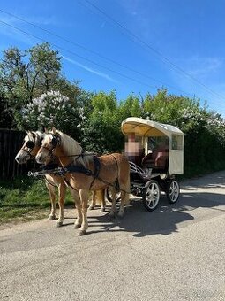 Koč s koňmi a postrojmi