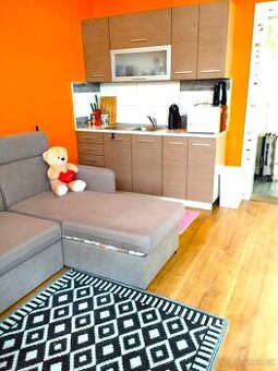 Pronájem bytu 1+1 40 m² Na Hradbách, Ostrava