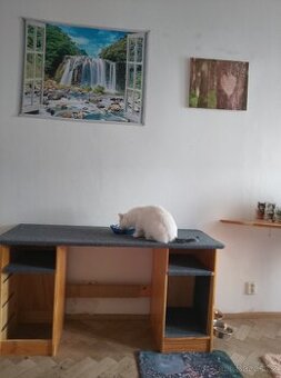 Škrabadlo pro kočky