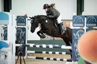Top pony pro ambiciózní dítě