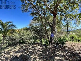 LOT 8 Bodden Bight Estate, Roatan