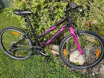 Kolo Specialized Hotrock 24"
