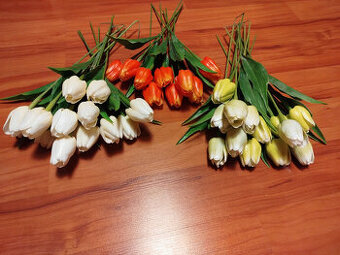 tulipány 37ks