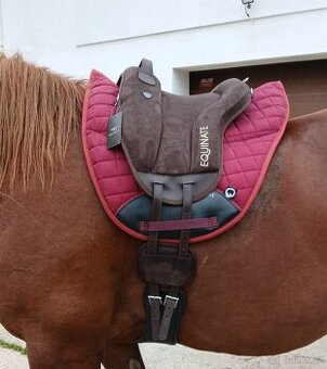 Drezurní pad pony - 1