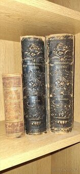Slovník německo-český 1892