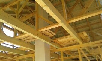 Dřevěné krovy a střešní konstrukce