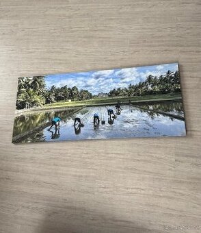 Obraz 120x50cm