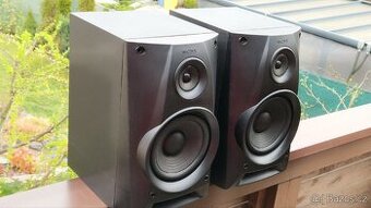 Sony SS-551