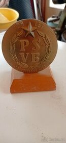 Odznak PSVB