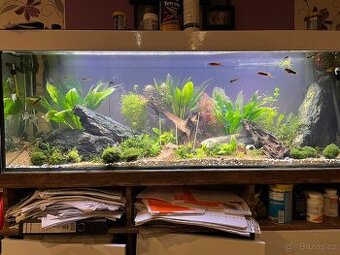Akvarium 300l 150x40x50