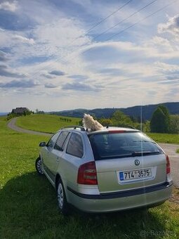 Škoda Octavia II 1.9 TDI 77kw 2006 DSG/Automat 6st