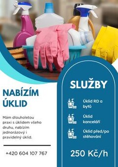 Nabízím úklid